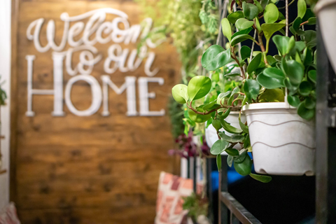 9 Creative Ways to Display your Plants at Home