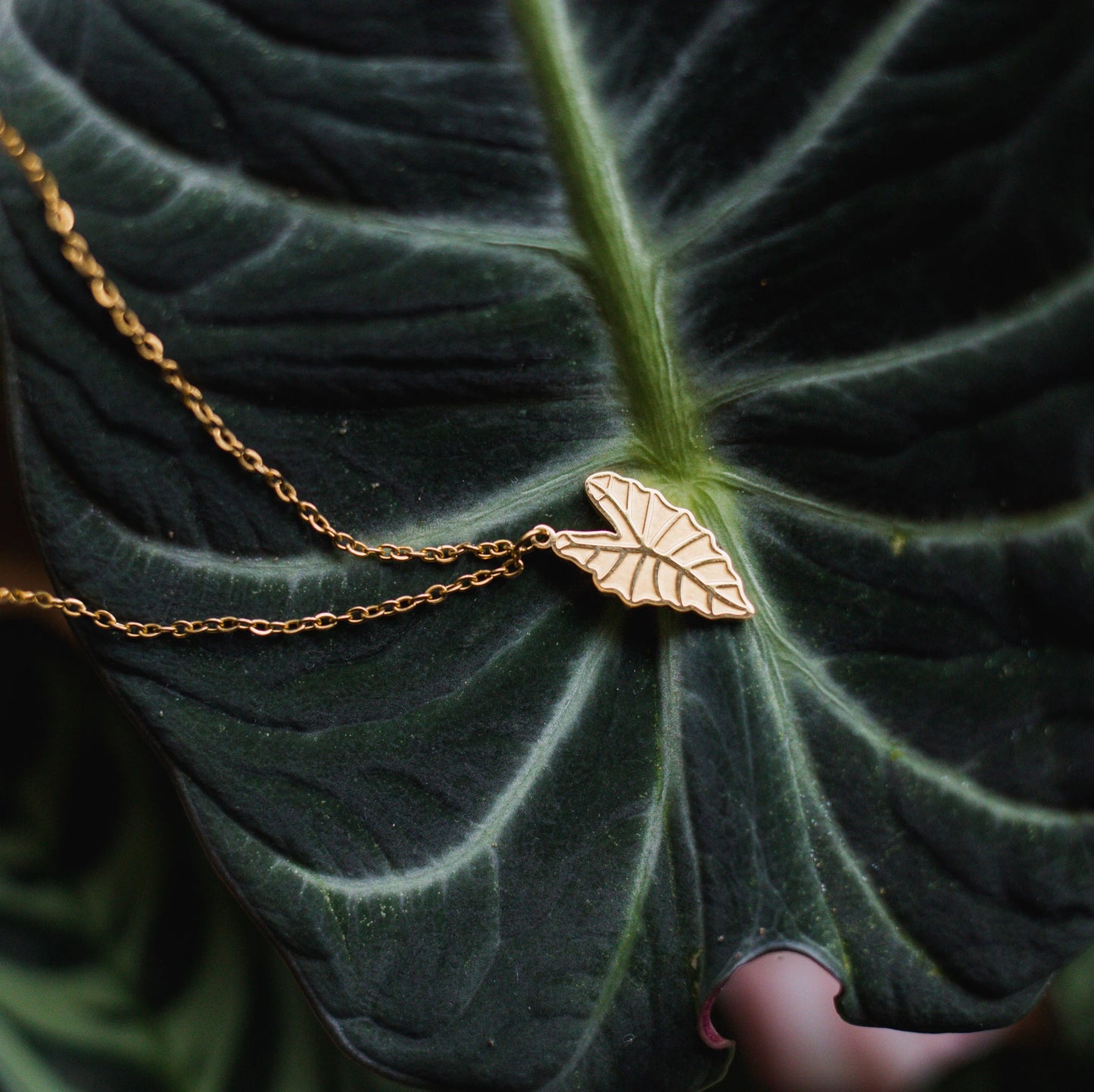 Alocasia Necklace