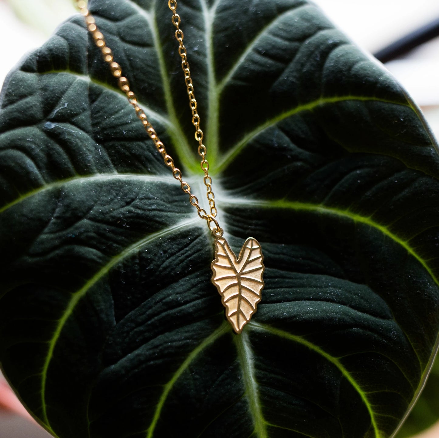 Alocasia Necklace