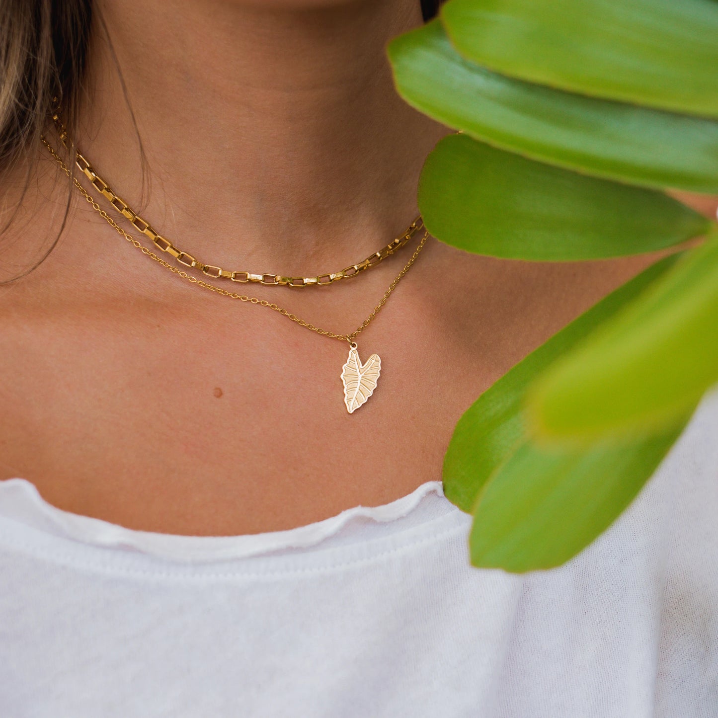Alocasia Necklace & Paperclip Layering Necklace Set